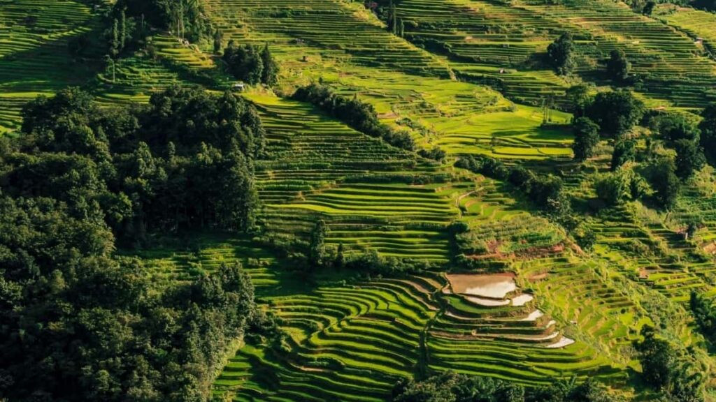 Kadar Iklan Penuh Kategori TikTok Indonesia 2025 Untuk Malaysia