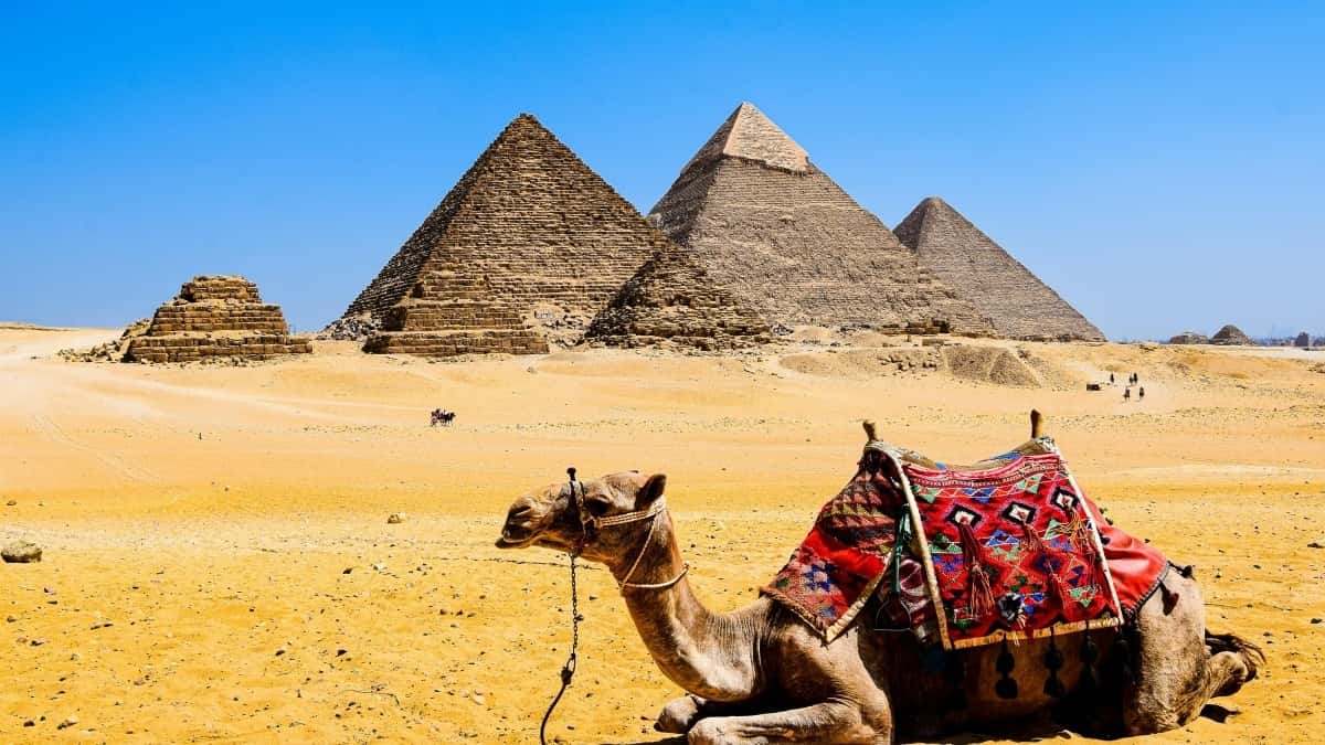 Cara Hubungi Jenama Algeria di Twitter Untuk Panduan Perjalanan