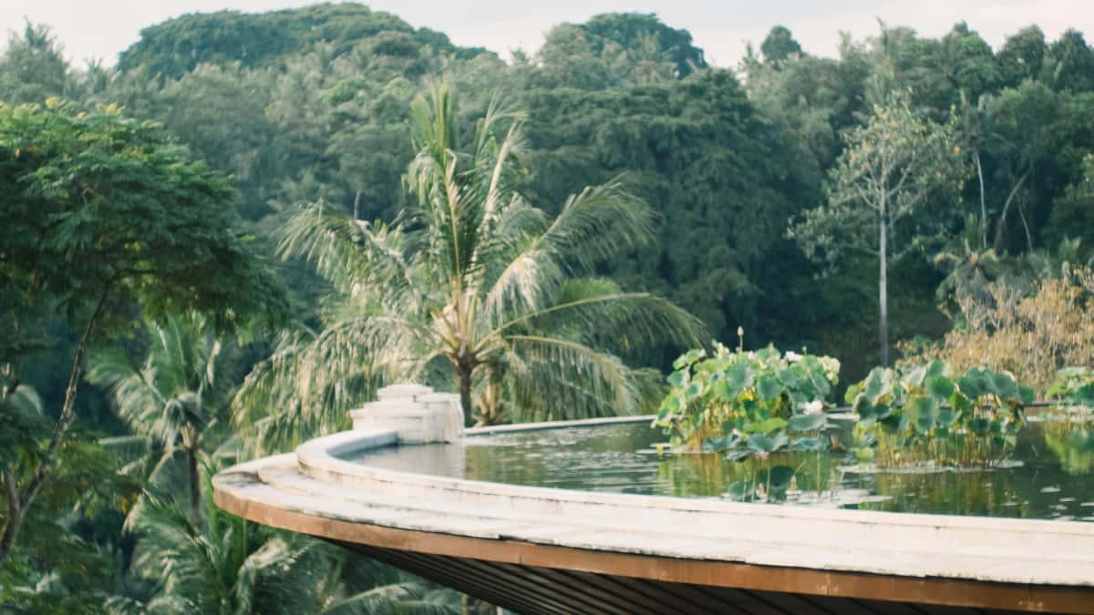 Brands: Snag NZ Takatak Creators for Hype Drops