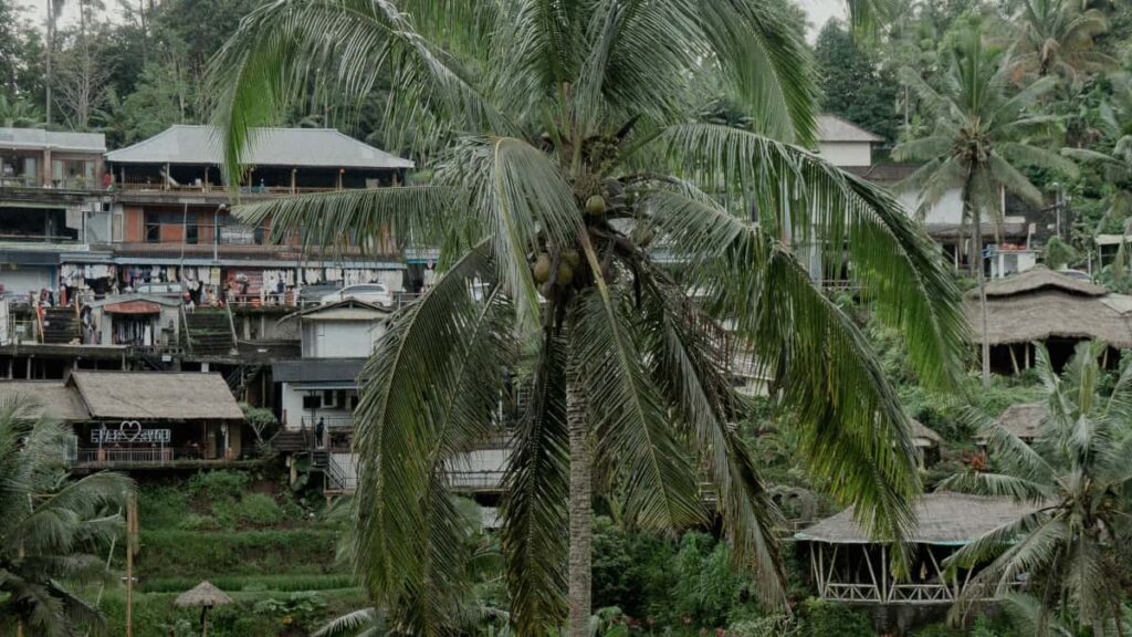 Panduan praktikal untuk creator di Malaysia nak approach jenama Puerto Rico di TikTok bagi kongsikan video before-and-after teknik, contoh, dan template mesej.