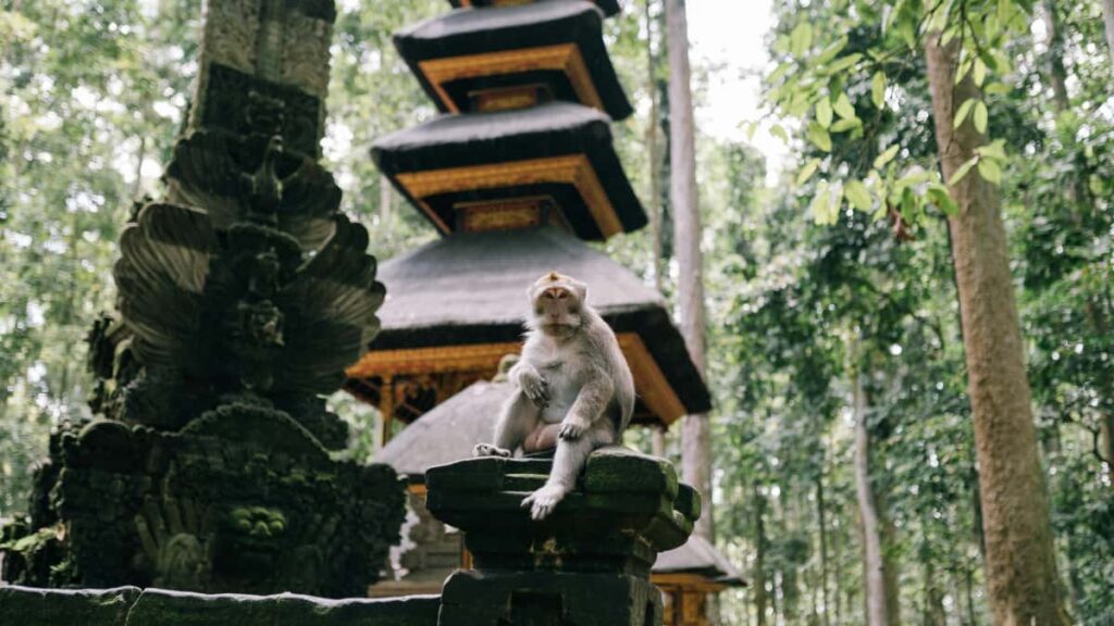 Panduan praktikal untuk pengiklan Malaysia: cara jumpa, tapis dan bekerjasama dengan pencipta Pinterest di Malta bagi menaikkan visibility jenama clean beauty.