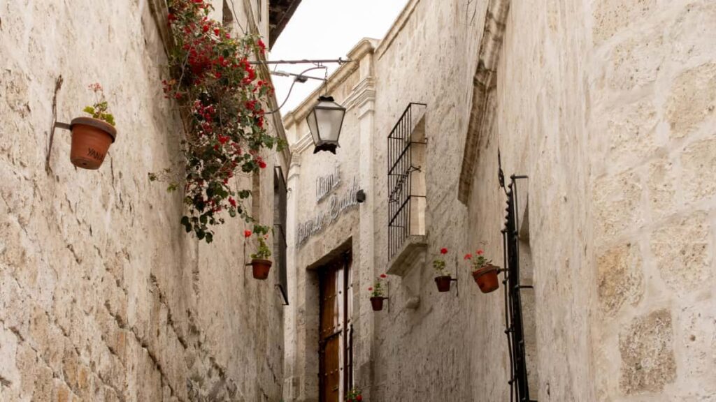 Panduan praktikal untuk creator Malaysia cara cari, hubungi dan pitch jenama Bulgaria di Instagram supaya dapat host demo produk live yang convert.