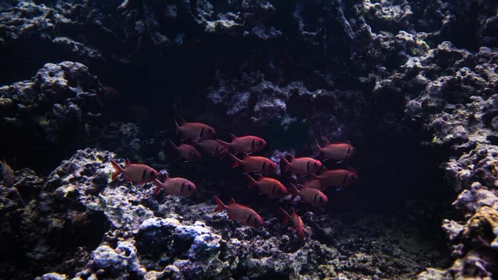 Panduan praktikal buat creator Malaysia: cara cari, hubungi dan sampaikan manfaat produk kepada jenama Colombia di Taobao dengan jelas teknik komunikasi, terjemahan, dan strategi jualan.