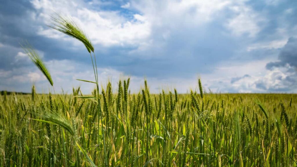 Panduan praktikal untuk pengiklan Malaysia mencari pencipta Apple Music di Belgium, bina kerjasama kreatif, dan tingkatkan visibility produk melalui exposure creator.