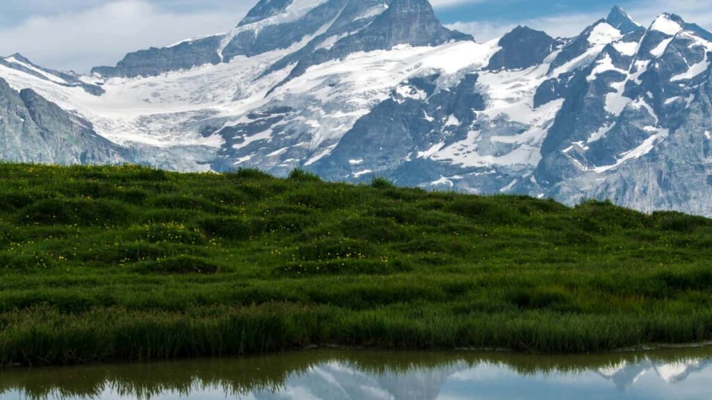 Panduan praktikal untuk pengiklan Malaysia mencari dan bekerjasama dengan pencipta Malaysia di Reddit bagi capai audiens niche strategi, alat, dan langkah operasi.