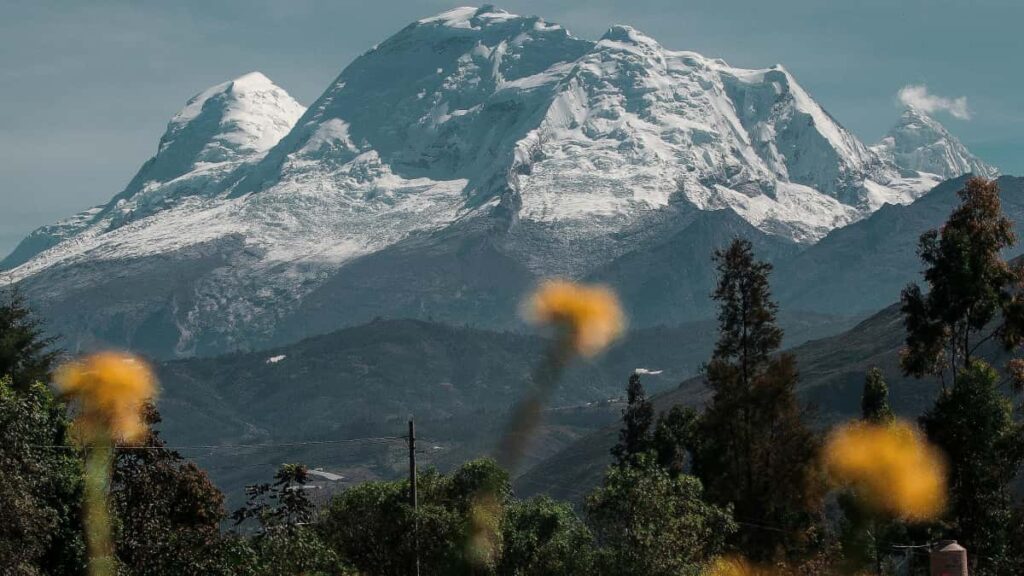 Panduan praktikal untuk pengiklan Malaysia: cara cari, saring, dan lancarkan giveaway bersama creator Chingari dari Mesir strategi, tools, dan risiko yang perlu tahu.