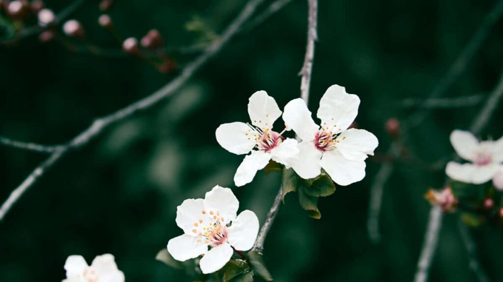 Panduan praktikal untuk pengiklan Malaysia nak cari creator Uruguay yang pakai Taobao untuk hasilkan ulasan autentik strategi, risiko, dan cara mengukur kredibiliti.