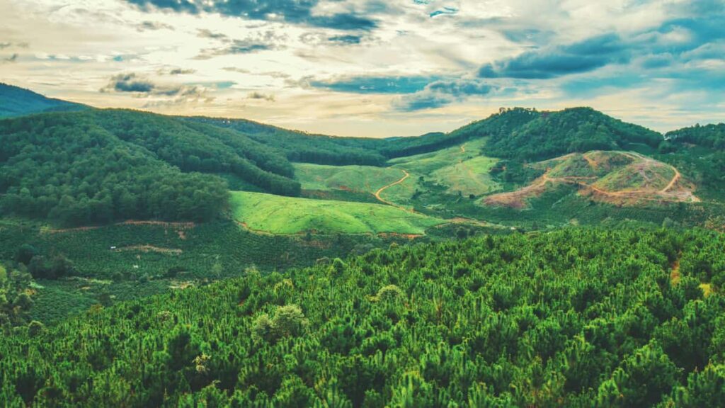 Panduan praktikal untuk creator Malaysia: cara cari, hubungi dan tawarkan diri kepada jenama Turki di Zalo, termasuk risiko privasi dan strategi lokal yang berkesan.