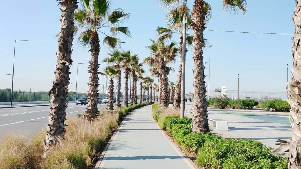 Strategi praktikal untuk pencipta Malaysia capai jenama Chile di Disney+ bagi peluang UGC, termasuk cara pitch, contoh kandungan, dan tip teknikal.