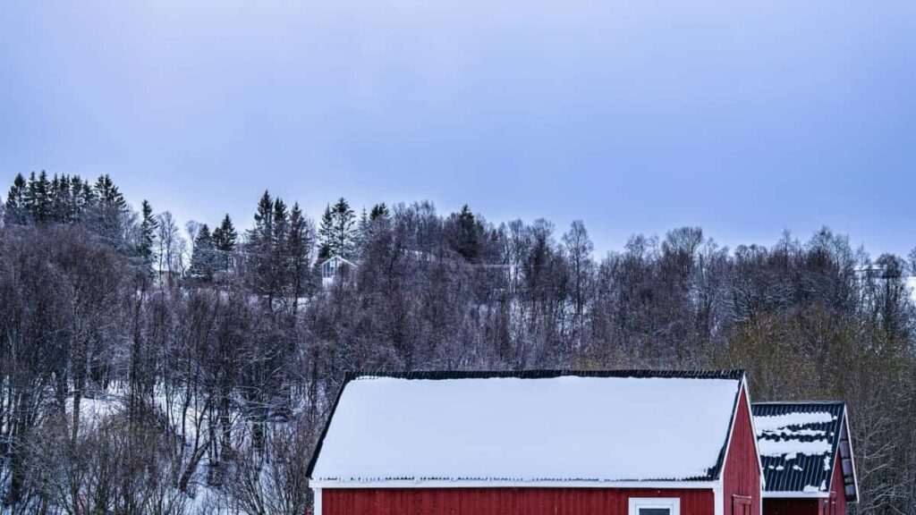 Panduan praktikal untuk pengiklan Malaysia: cara cari, saring dan jalankan kempen reaction album dengan kreator Reddit dari Slovenia langkah, risiko dan tips kerja dengan komuniti.