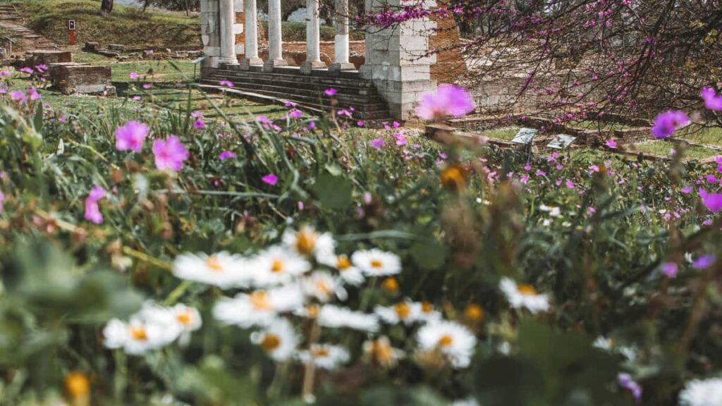 Panduan praktikal untuk pengiklan Malaysia: cara cari, pilih dan kolaborasi dengan pencipta LinkedIn Kemboja bagi tingkatkan kesedaran pelancaran beauty terbaru.