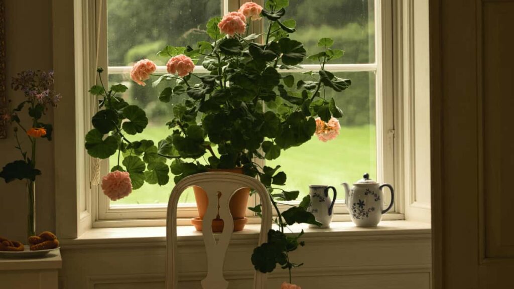 Panduan praktikal untuk pengiklan Malaysia: cara jumpa dan gunakan Zalo creators di Singapura bagi menaikkan capaian untuk jenama gaya hidup sihat.