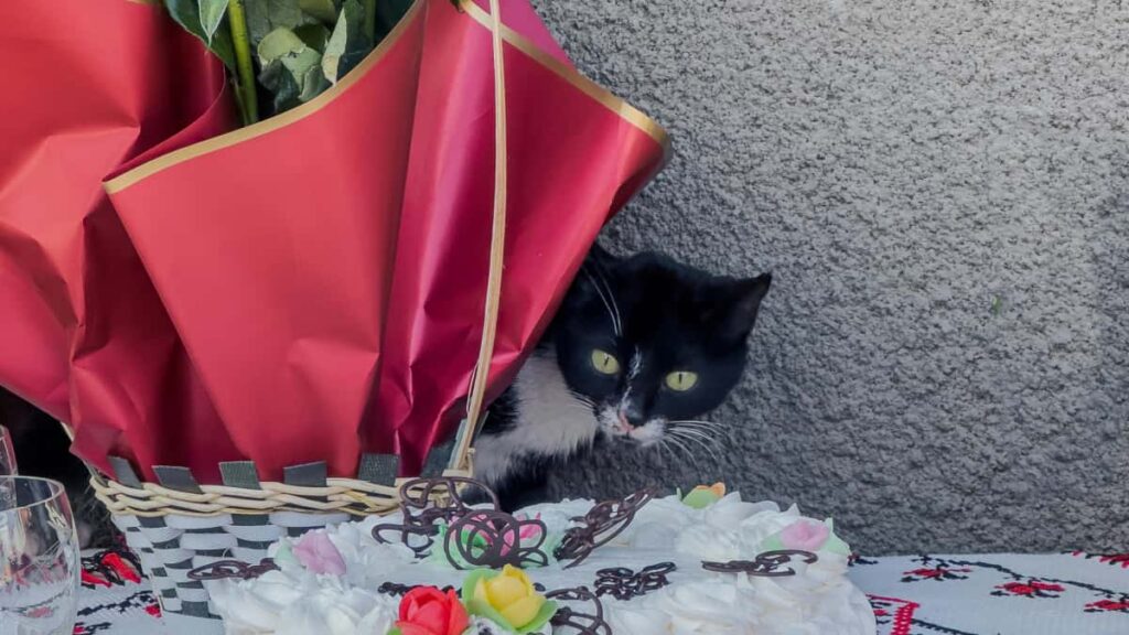 Panduan praktikal untuk pengiklan Malaysia: cara jumpa, saring dan berkolaborasi dengan pencipta WhatsApp dari Romania bagi mempromosikan mesej jenama dalam sesi livestream.