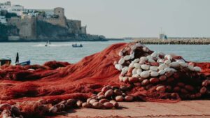 Panduan praktikal untuk creator Malaysia yang mahu reach jenama Venezuela di eBay, bina pitch, urus komunikasi, dan convert kerjasama kecantikan tak payah drama, straight to the point.