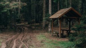 Panduan praktikal untuk creator Malaysia yang mahu bekerjasama dengan jenama Mesir di Twitch strategi pendekatan, kandungan dilokalkan, dan taktik penglibatan pasaran Arab.